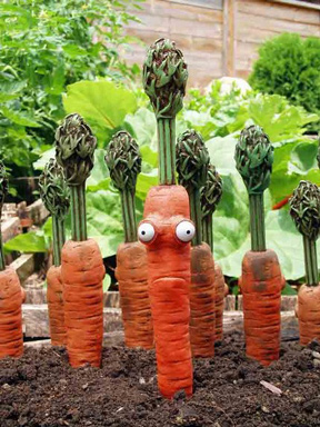 carrots!