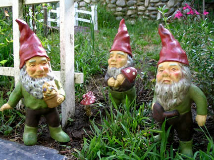 gnomes and toadstools!